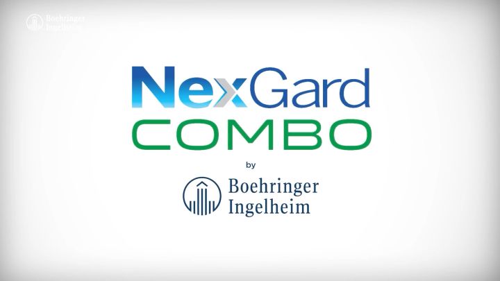 Nexgard Combo (for cats)