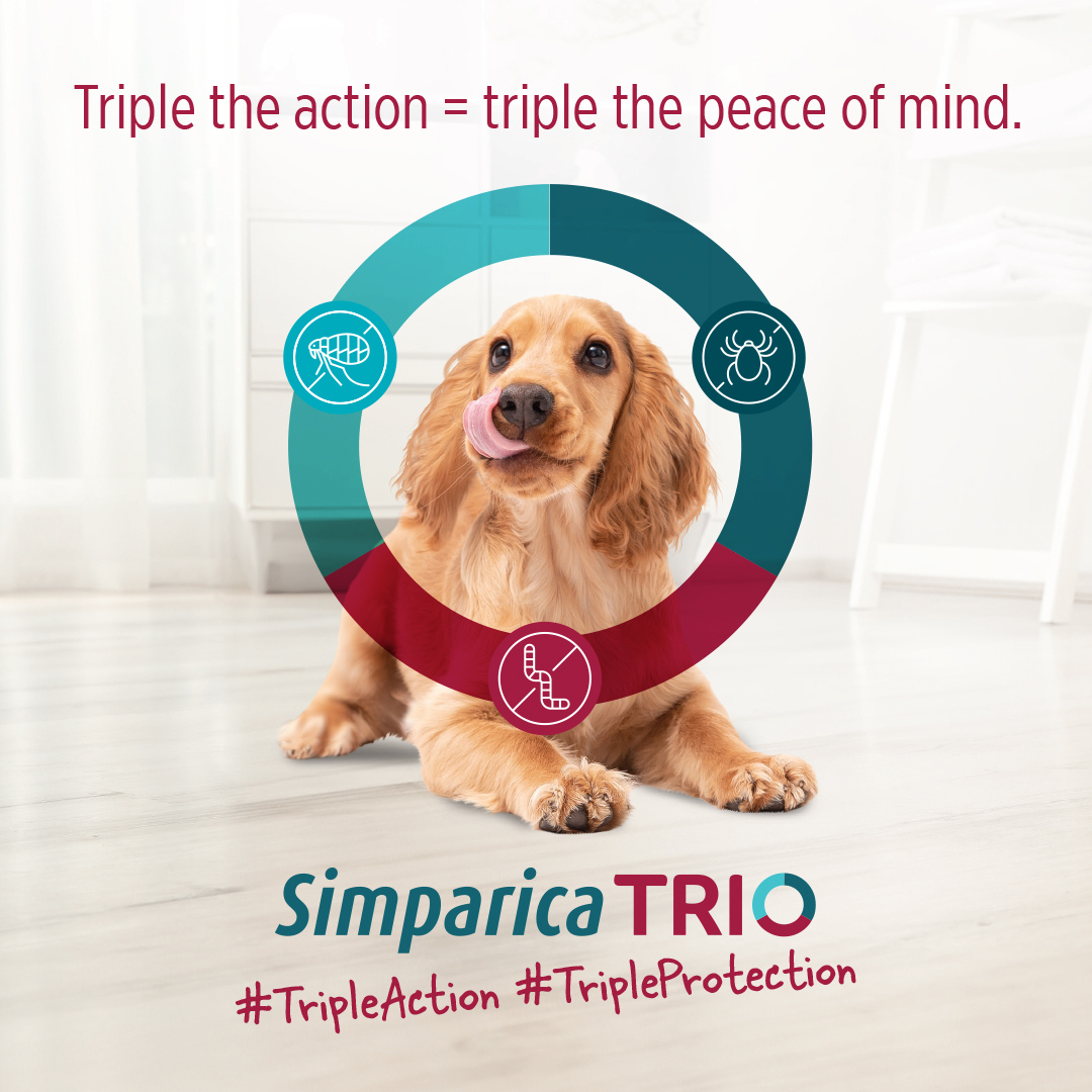 Simparica Trio